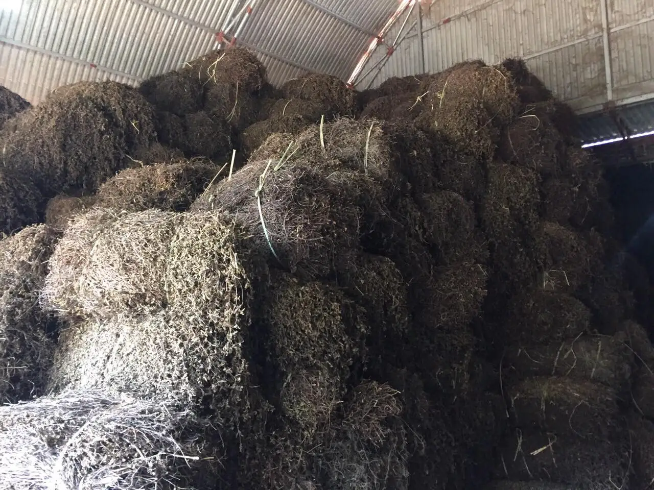 Желе из черной травы Вьетнам