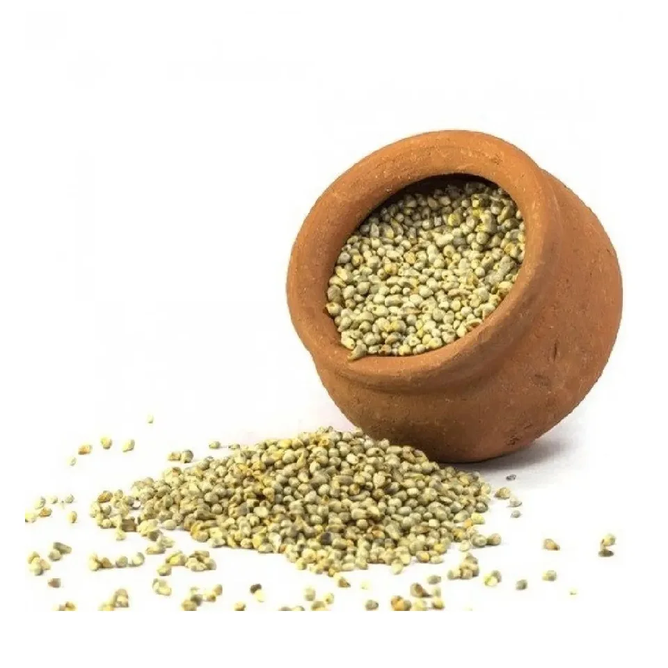 100% натуральное перламутровое Просо для изготовления просенной муки и поддержания здоровья тела от индийского экспортера по лучшим