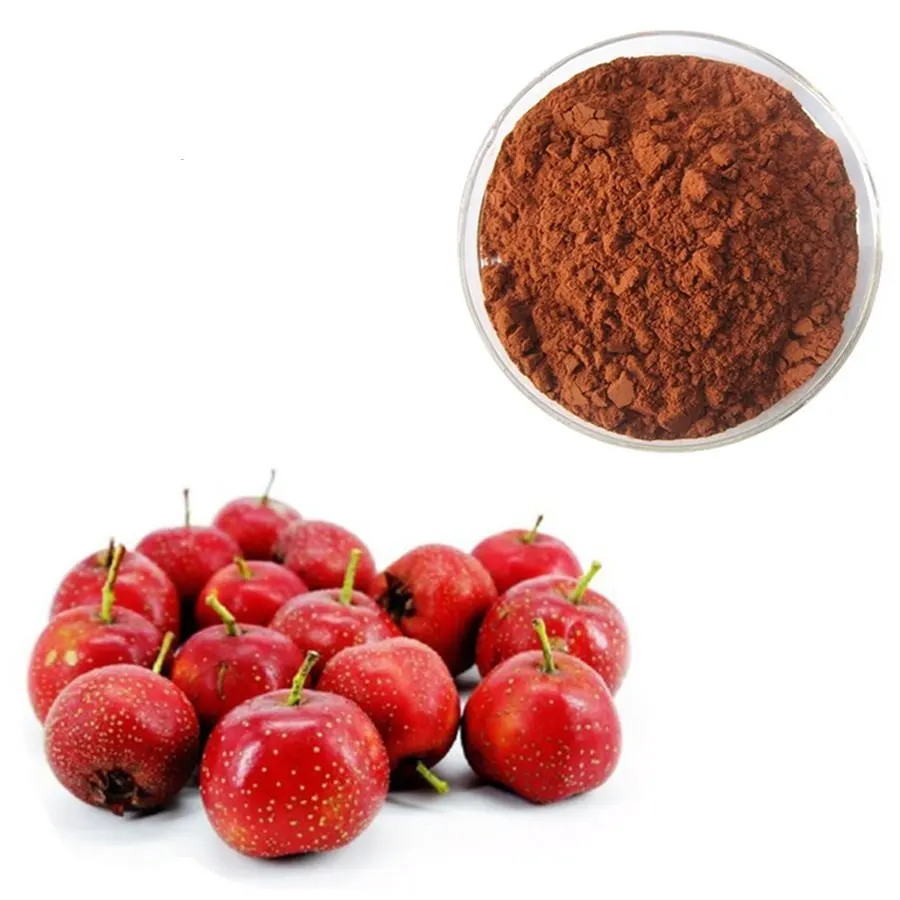 Vegan Friendly Food Grade Organic Hawthorn Berry Extract Powder for Health Support from Indian Supplier at Best Prices