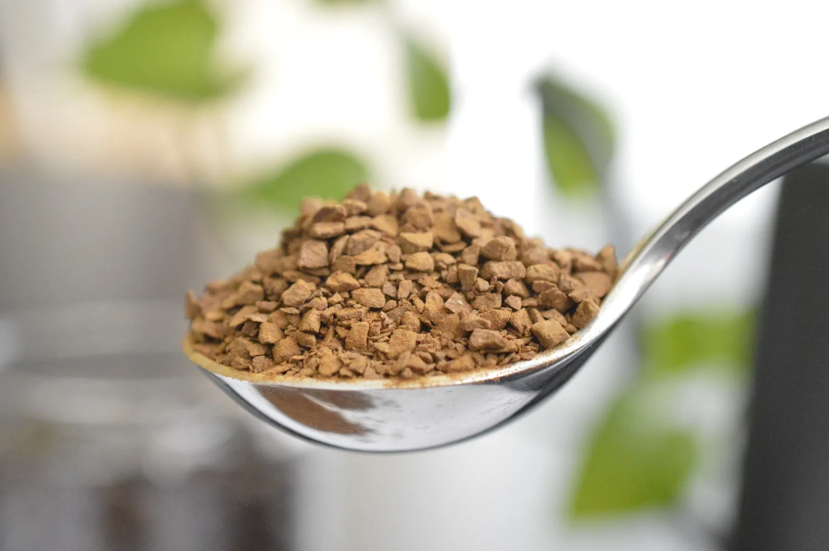 Premium Robusta Coffee Beans Moderate Biterness and Light Body 25kg/Carton Bulk Freeze Dried and Instant Caffeinated