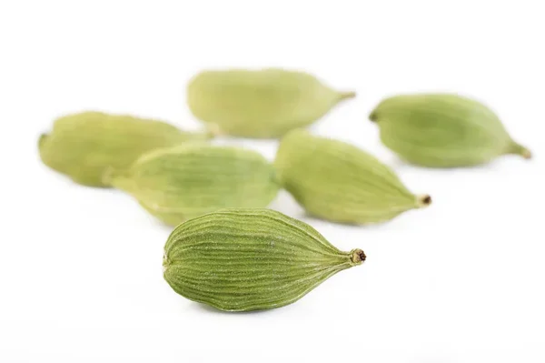 Wholesale Green Cardamom Guatemala Cardamom, White Cardamom, Cardamom Suppliers Wholesale Supplier