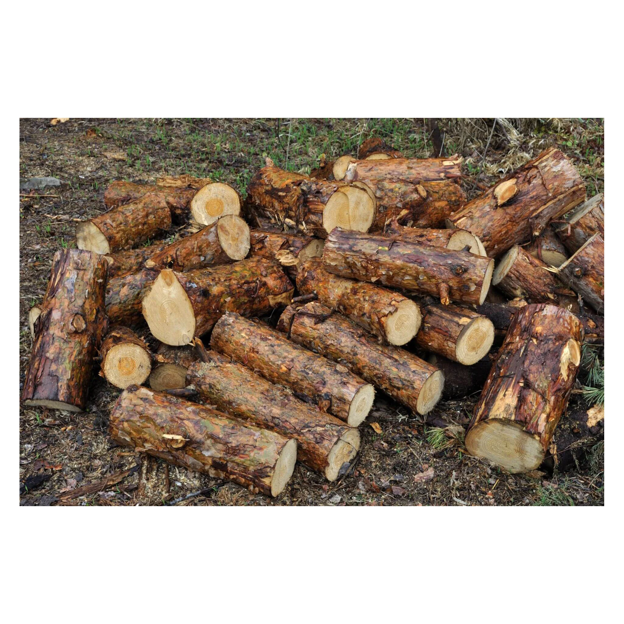 Best Quality Hot Sale Price Kay Eco Logs Wood Briquettes White Ash Kay Briquettes | Pini-kay Wood Briquettes Bulk Buy