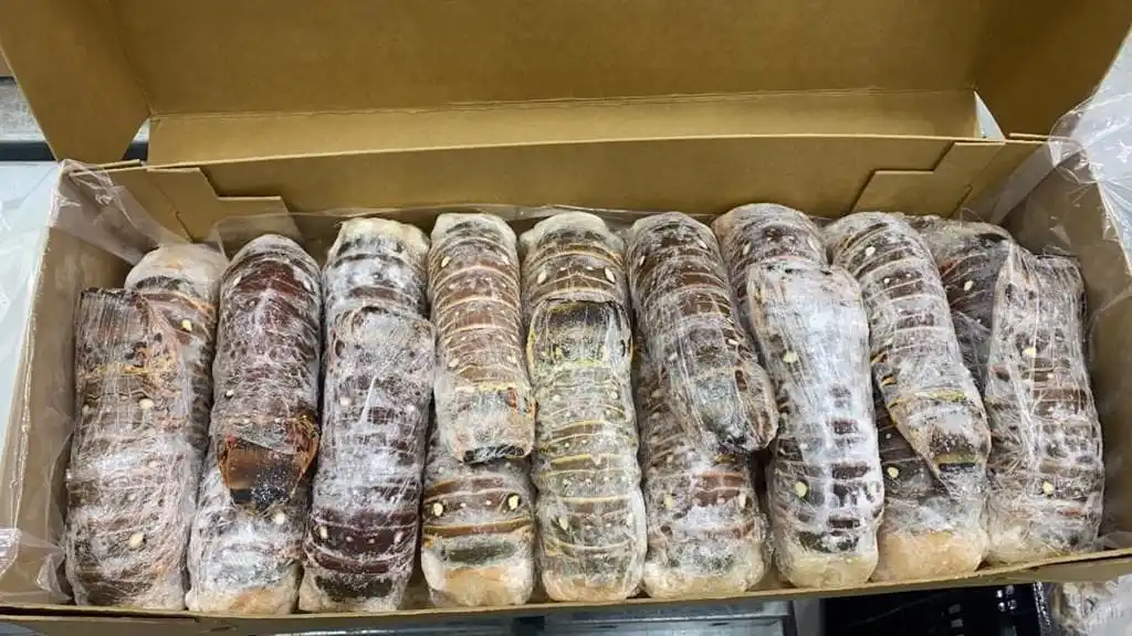 Frozen Lobster Tail for sale