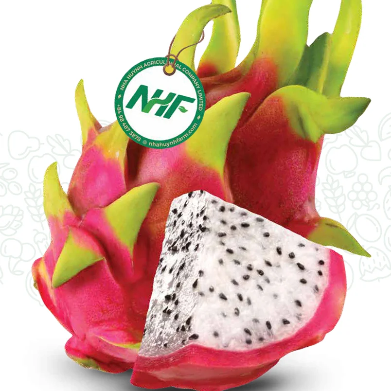 FLASH SALE 48H FRESH FRUIT WHITE DRAGON HIGH SWEET AND NUTRITIOUS ORIGIN VIETNAM NHA HUYNH FARM