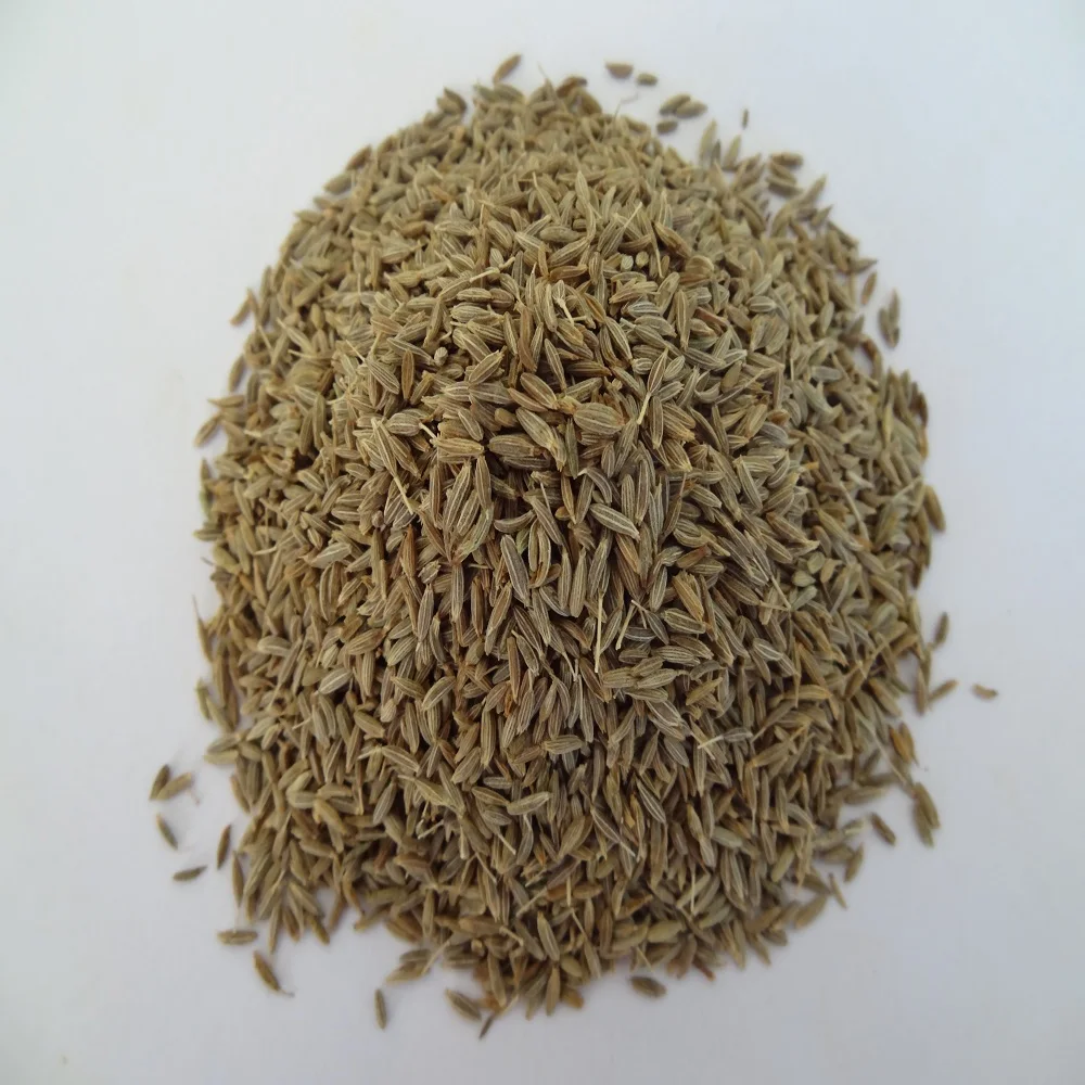 cumin seeddd 1000.jpg