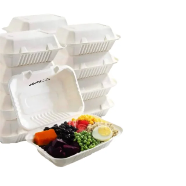 Modern Trending Disposable 9*6 9*9 Bagasse Burger Box Clamshell Natural for All Type of Events Packaging Food Trucks Travel