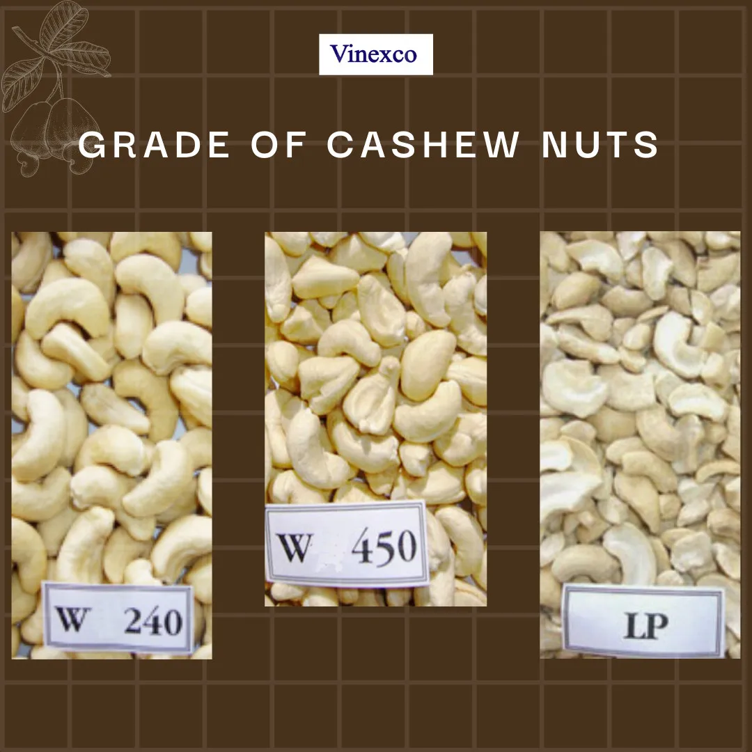 Прямая Заводская поставка w240 w320 орехи кешью из Вьетнама самый дешевый kaju с органическим культивированием новый сезон