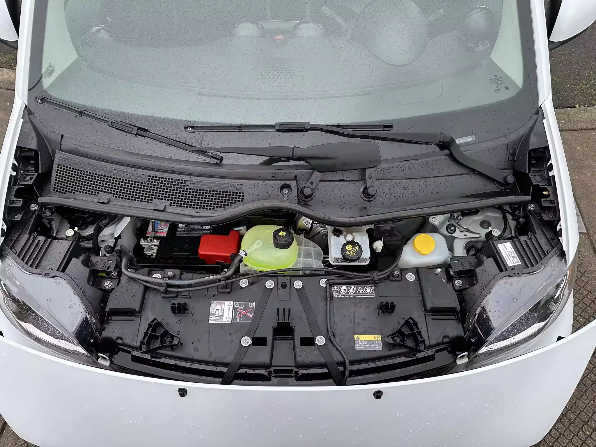 very clean used 2019 Sm-art For-two Electric Drive Single Electric Motor for sale