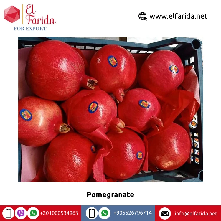 Best Quality Wholesale 100% Natural Sweet Delicious Egypt Origin Fruits Red Fresh Pomegranate at Competitive Price