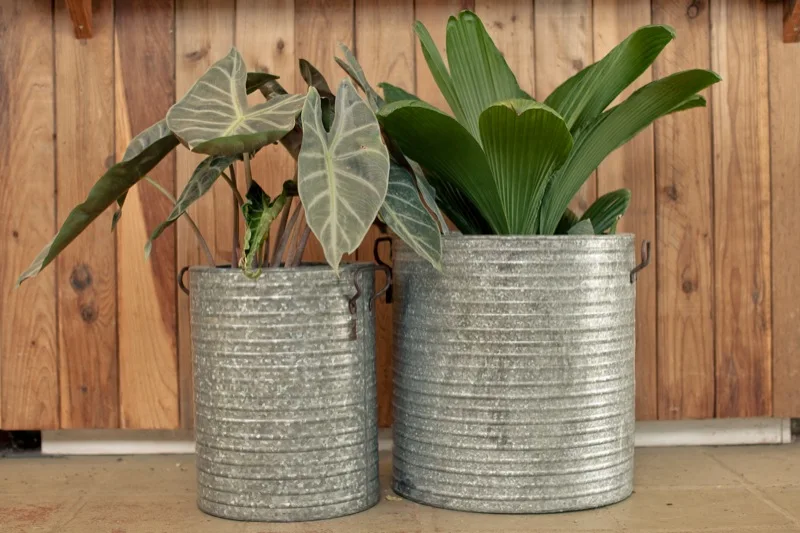 Antique Brass Golden Metal Designer Large Planters Garden Decoration Fancy Office Hotel and Resort Indoor and Outdoor Planters