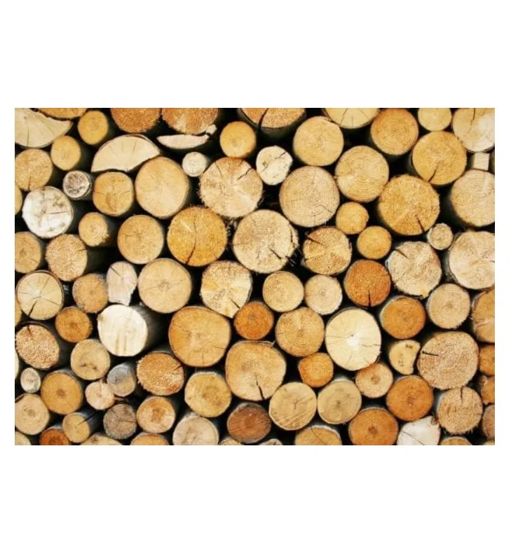 Buy Hardwood Logs Cheap Bulk Pricing Excellent Quality for Firewood and Carpentry Fast Delivery Service