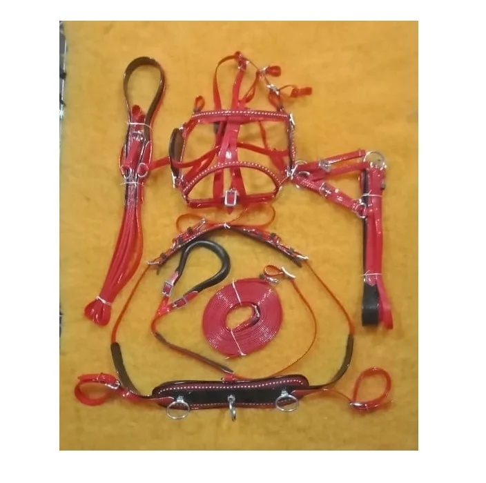 wholesale horse driving harness Miniature soft PVC with Leash Set Hunting Dog Collar Waterproof lightweight equipment equestrian