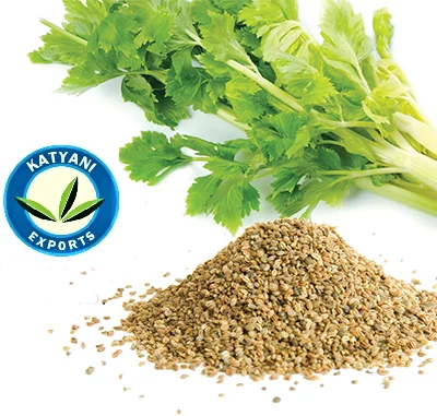 High Quality Pure And Natural Celery Seed Essential Oil At Reasonable Price In India Good Quality Export & Bulk Manufacturer