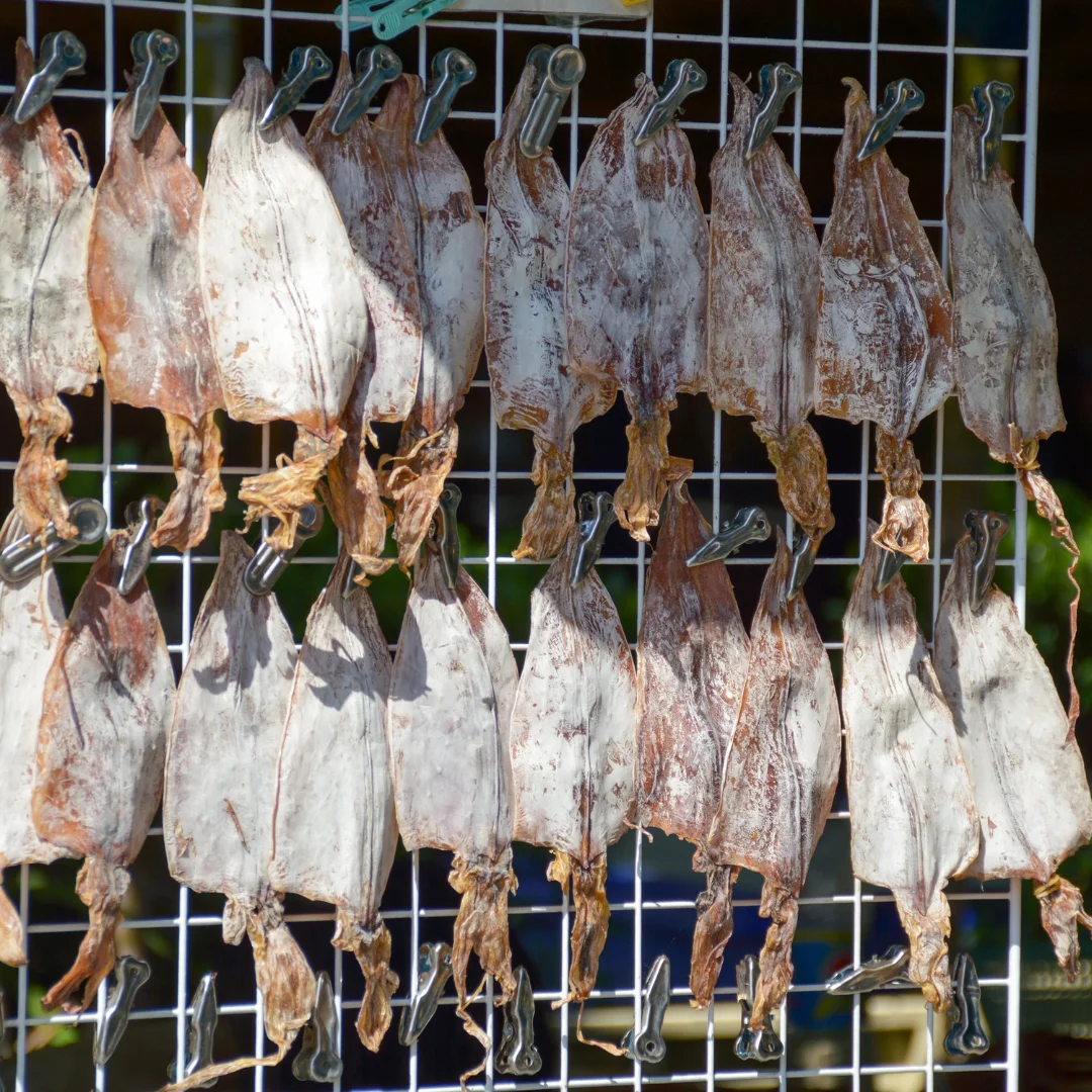 Dried Squid (50-60 pieces/kg) from Vietnam Sea Dried Squid With Cheapest Price Asia Cuttlefish