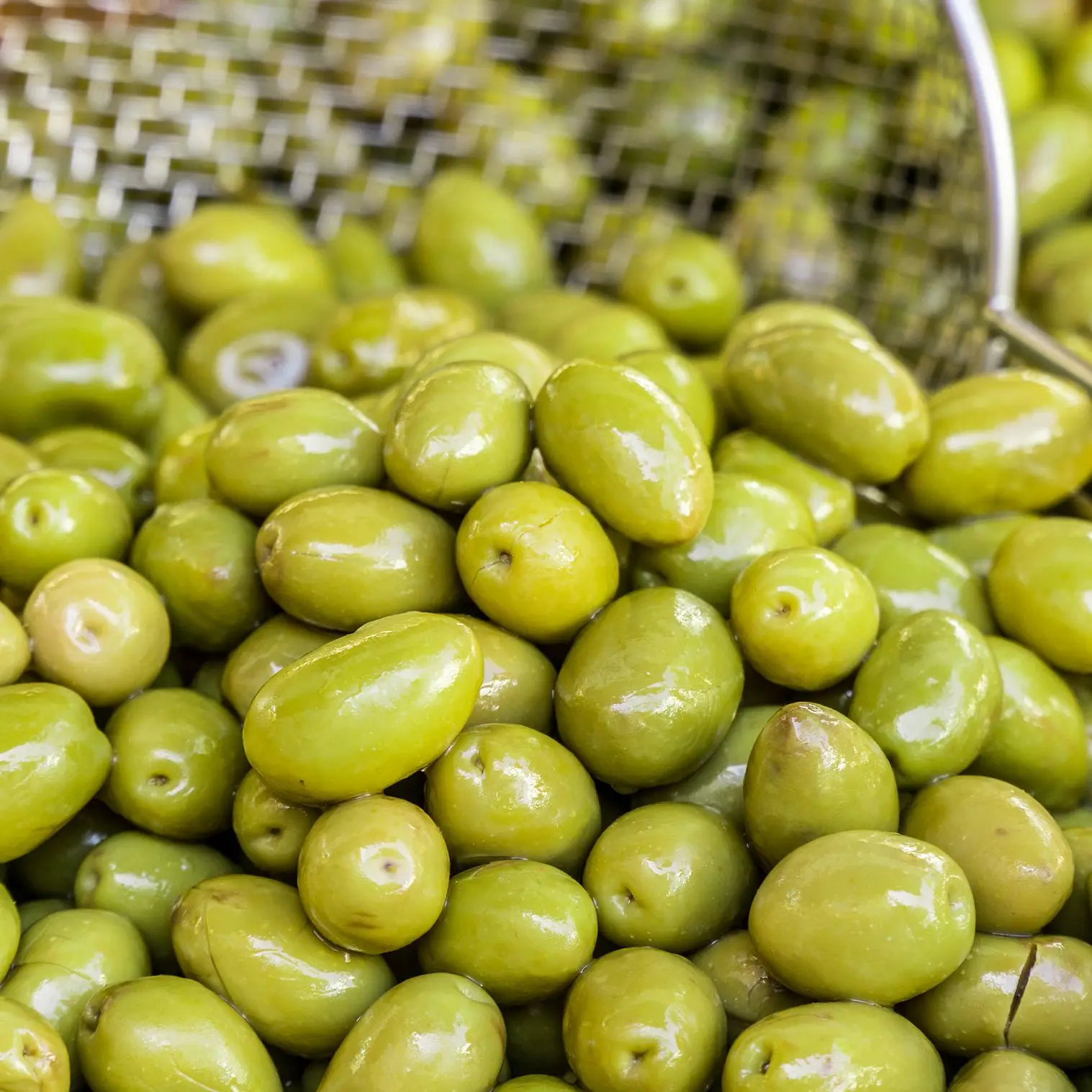 Olives Black OEM Food Products Agricultural Olive Oil Common Cultivation