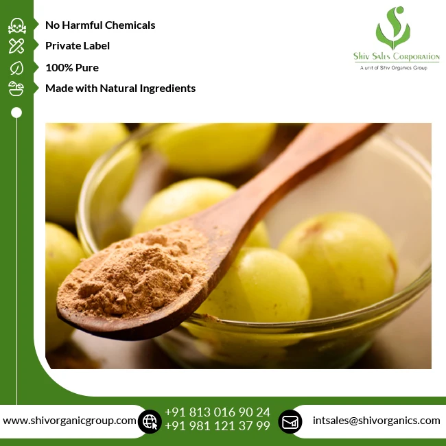 Fresh Quality Cosmetic Grade Wholesale Pure and Natural Amla Extract Powder from Indian Supplier at Bulk Price
