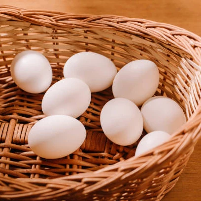 Fresh Eggs