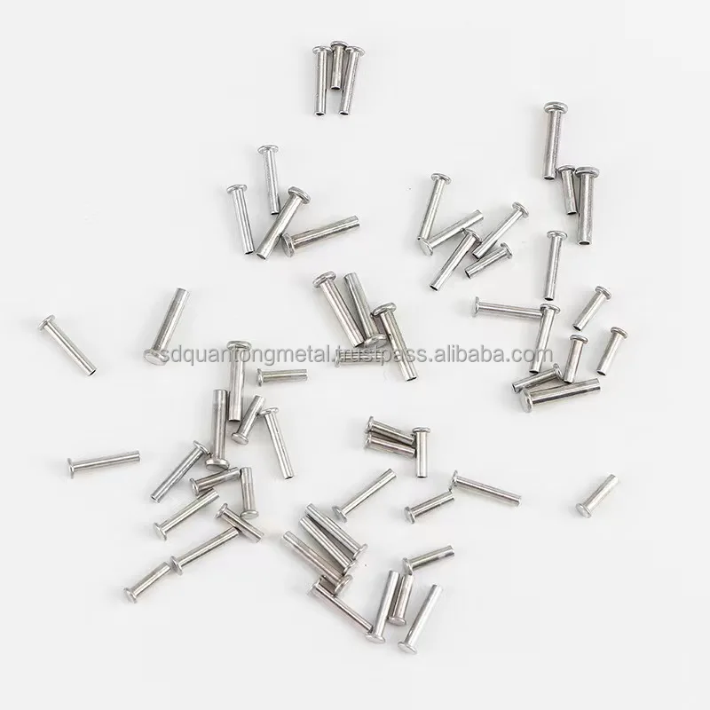 Aluminium Steel Material  Head Blind Rivet Nail Aluminum Boat Rivets Common Nails