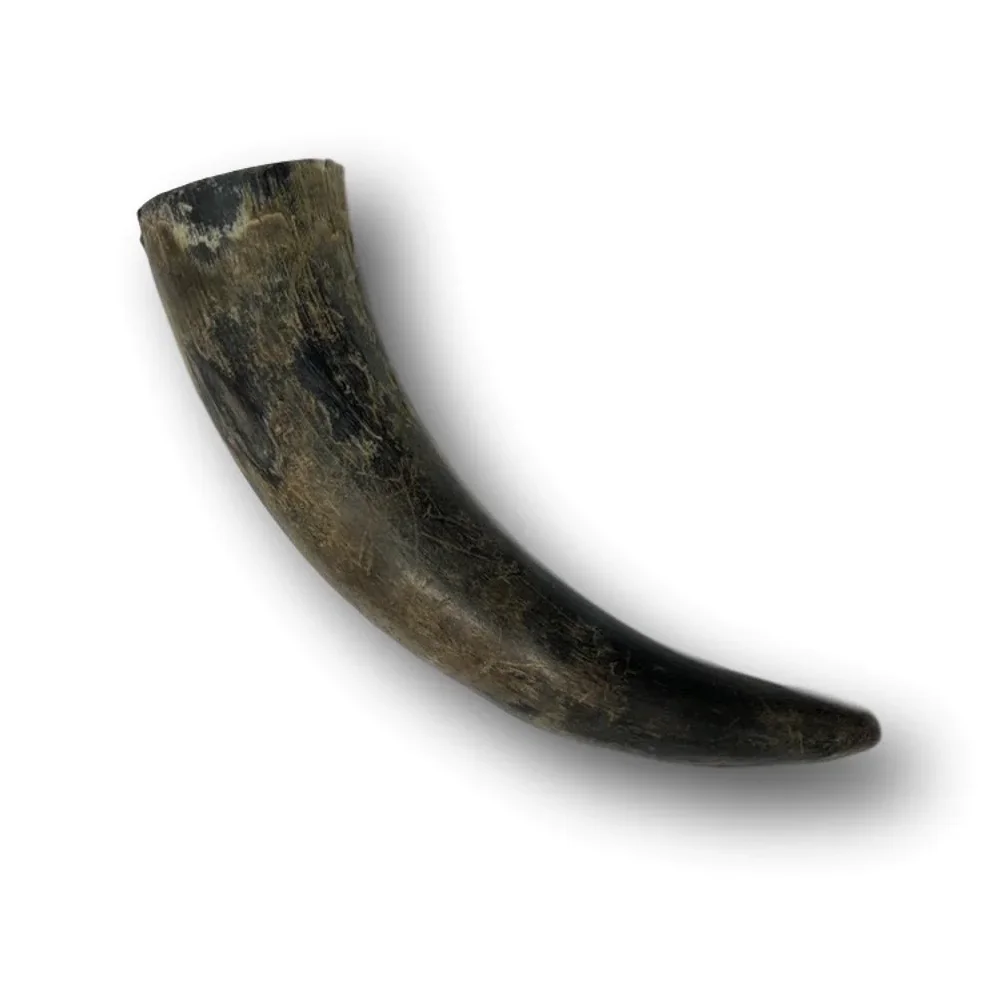 COW HORN BUFFALO HORN Wholesale