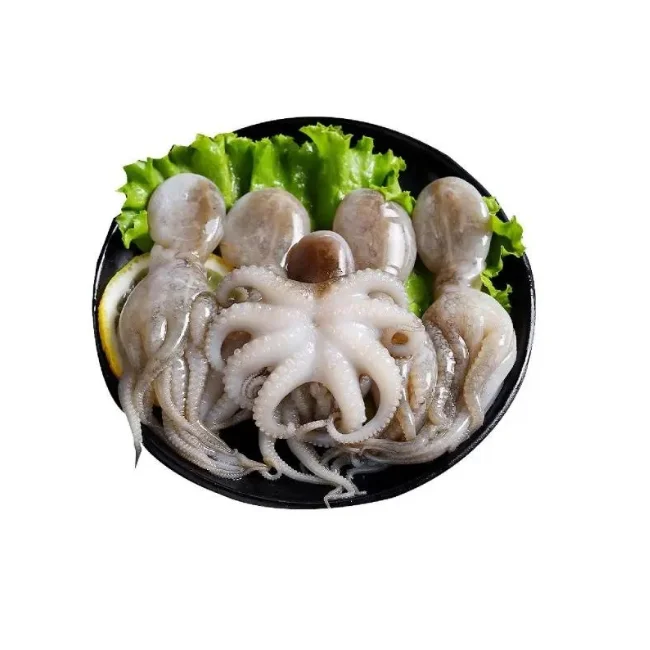 100% IQF Frozen SeaFood Frozen Octopus Seafood Good Price For Export In Large Quantity Order