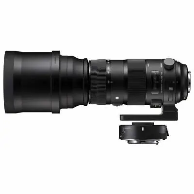 Sigma 150-600mm F5-6.3 DG OS HSM Sport Lens + TC-1401 (C.anon)