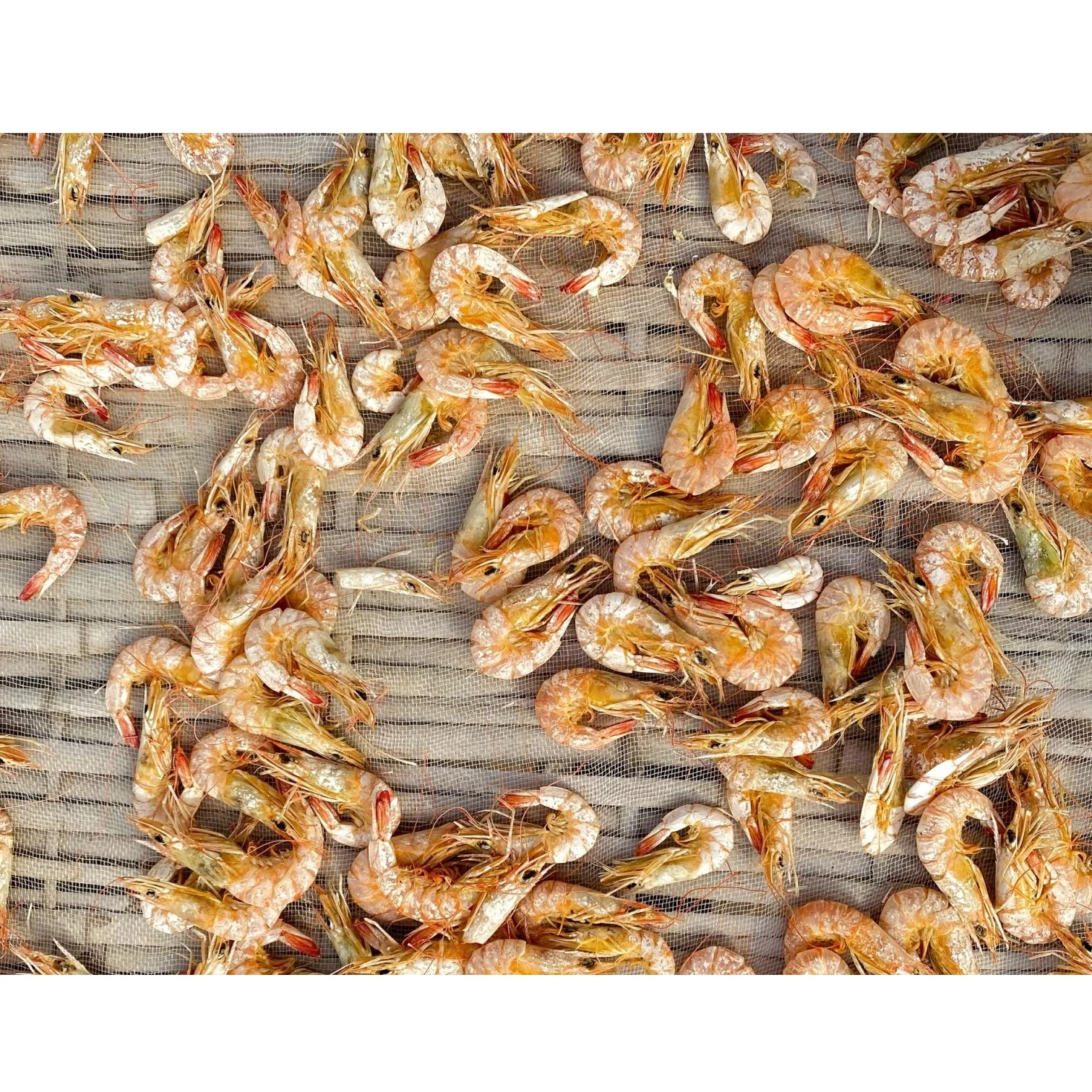 Wholesale Cheap Price Vacuum Pack High Quality Air Drying Process Seafood Certificated OEM Dried Shrimp