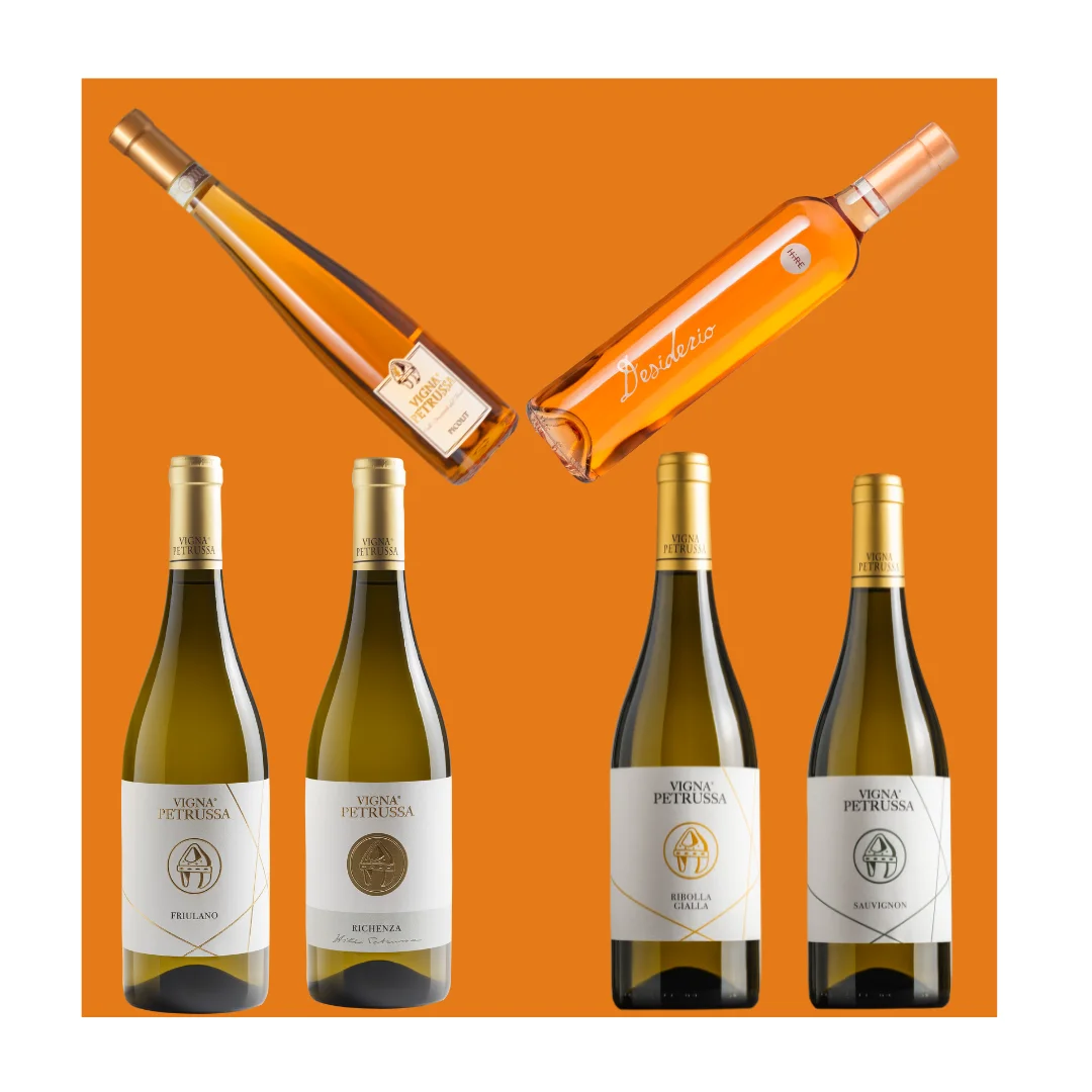 Top Selection Vigna Petrussa Italian Wine RIBOLLA GIALLA FRIULANO RICHENZA SAUVIGNON DESIDERIO PICOLIT  for Horeca wine buyers