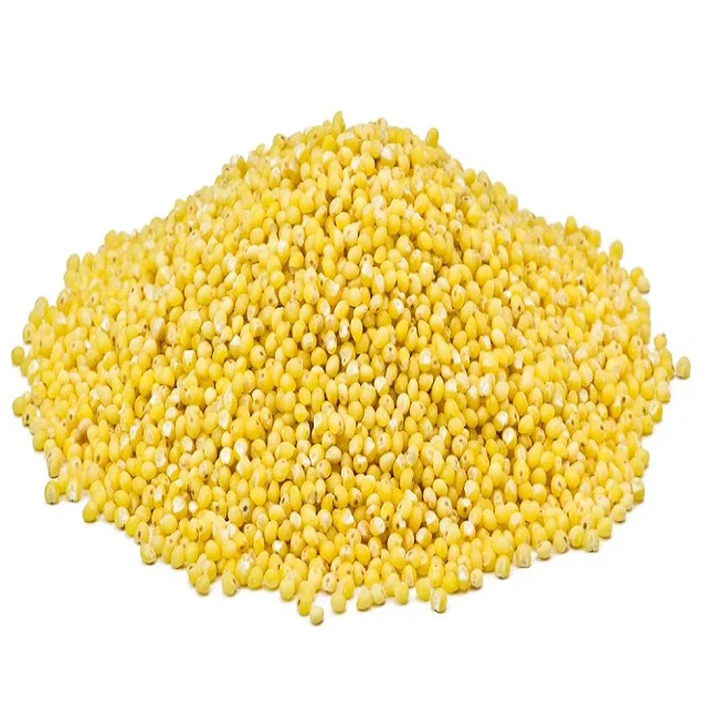 Best Selling Premium Wholesale Hulled Yellow Pearl Millet Bird Feed Seeds of Ukrainian Origin