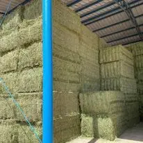 High Quality Alfalfa Hay for Sale for Animals Cattle Sheep and Horses Comes in Bales or Bags Variety in Palm