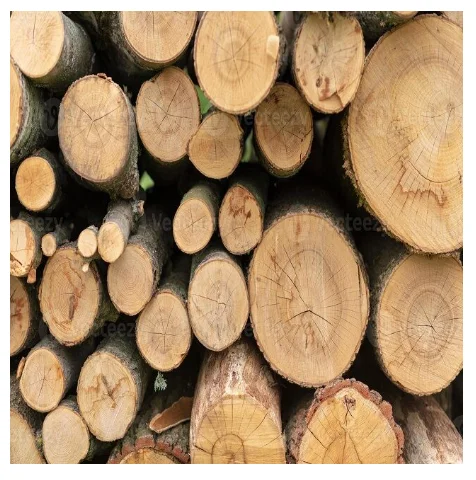 Timber Wood Logs for sale.PNG