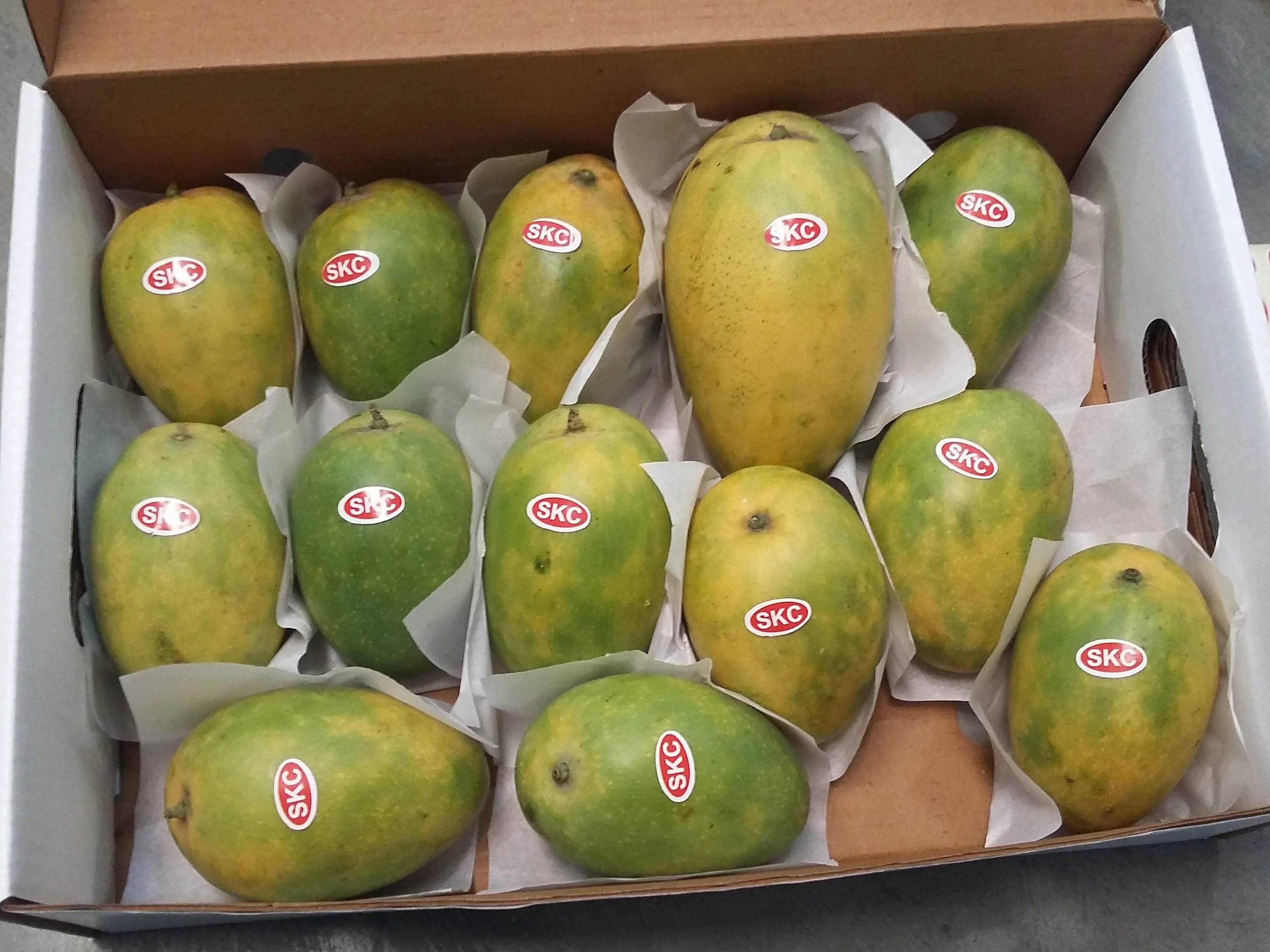 Unmatched Banganapalli sweetness of Mango Export to  Tunisia /   Somalia / Kenya /   Zimbabwe from India