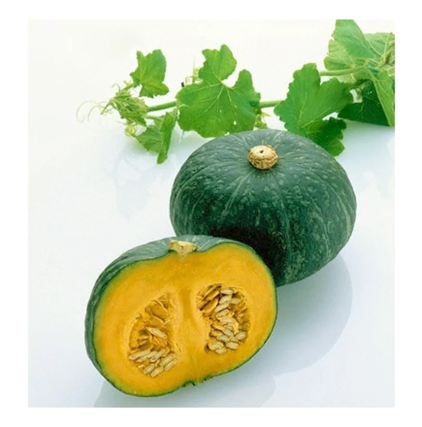 FRESH PUMPKIN GOOD TASTY VERY COMPETITIVE PRICE FOR SALE.