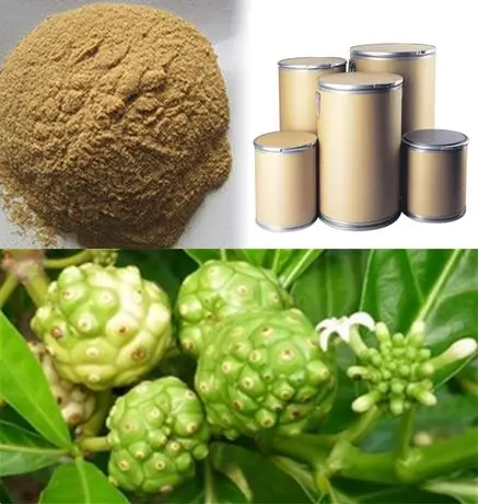HEALTHY NONI POWDER / ANTIOXIDANT-RICH SUPERFOOD / MADE IN VIETNAM