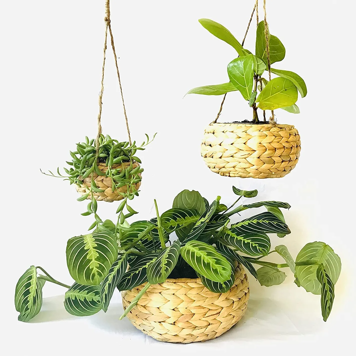 Cheap price water hyacinth plant pot flower eco friendly container pots made in Vietnam wholesale