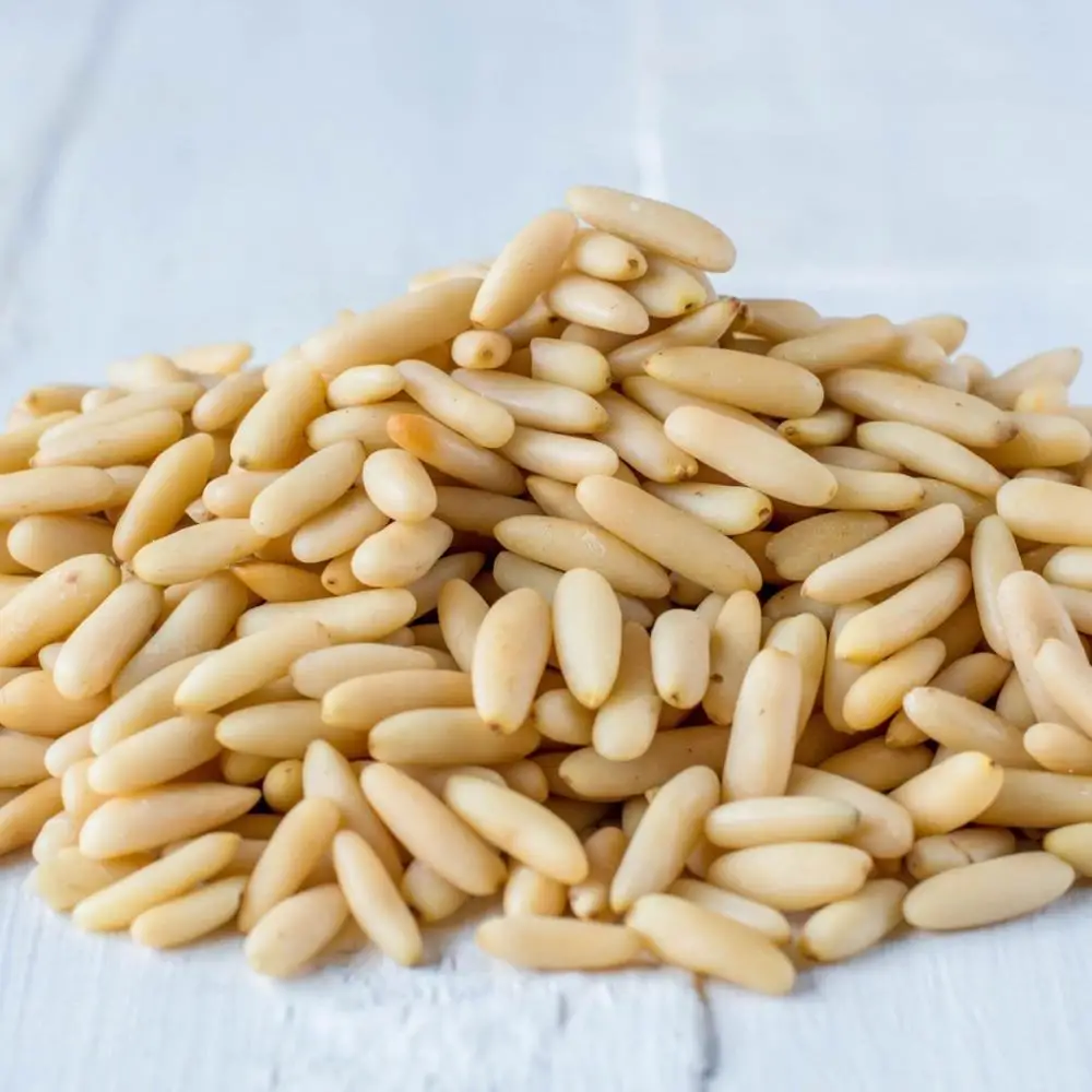Wholesale Raw Pine Nuts Dried Fruit Kernel