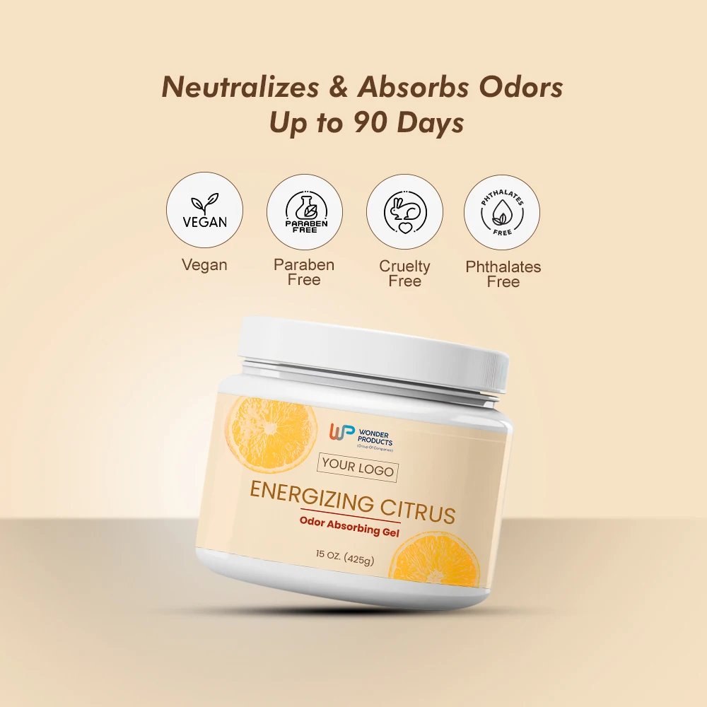 OEM/ODM Eco-Friendly Air Odour Absorber Gel Customizable Logo and Private Label for Home Use and Closets