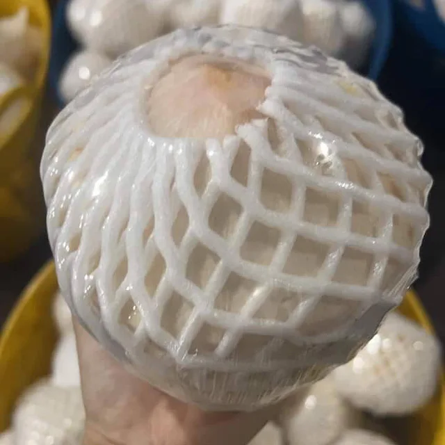 Top Selling  Fresh Coconuts From Thailand