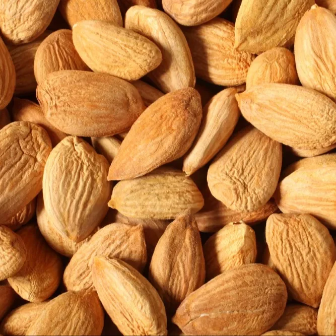 Абрикосовые ядра