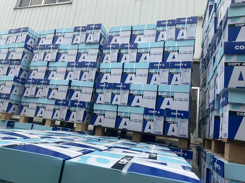G5994239039.jpg
