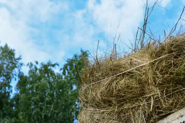 Easy Feed Haylage Organic Haylage FiberMax Haylage Grass Haylage Blend