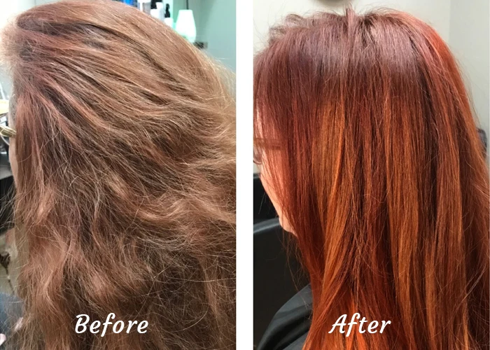 Organic Henna Powder Hair Color Powder Without PPD and Ammonia Hair Dye 2024 New Beauty Personal Care Products