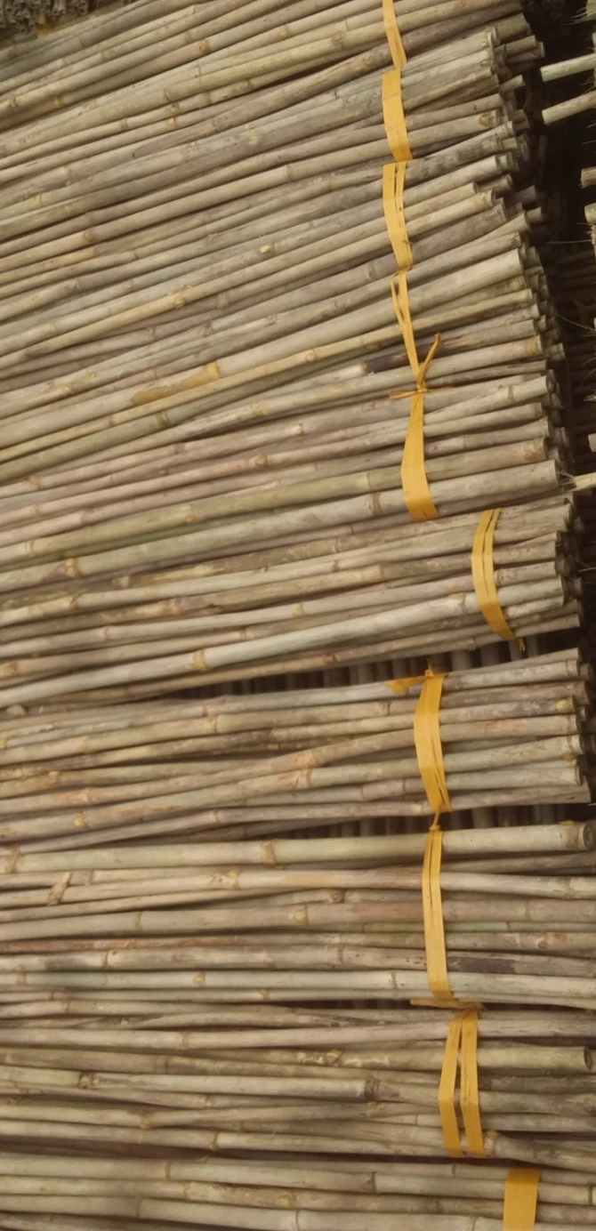 Premium Quality Bamboo Poles From Vietnam for Export - Bamboo Products Hot Selling 2024 With Cheap Price