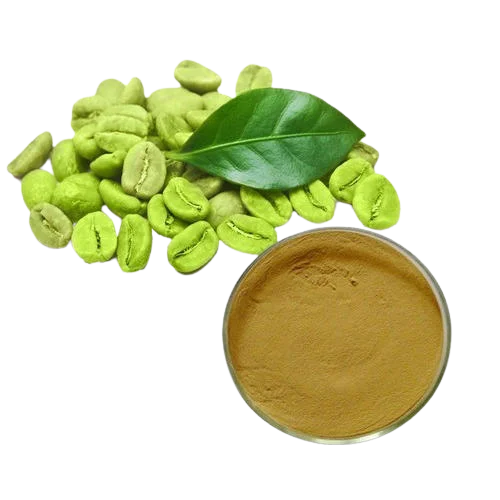 Hot Sell 2022 Fully Organic Green Coffee Bean Extract Chlorogenic Acid 50% For Weight Loss Uses Wholesale Prices