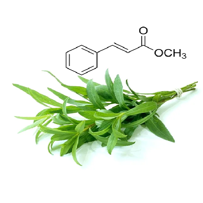 100% Pure & Natural Methyl-Chavicol bulk wholesale Lowest Price Direct from Manufacturer, Supplier & Exporter
