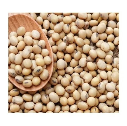 Soybean Meal 46% Protein - Soybean Animal Feed Organic Animal Food Soy Bean Meal Price in Bulk