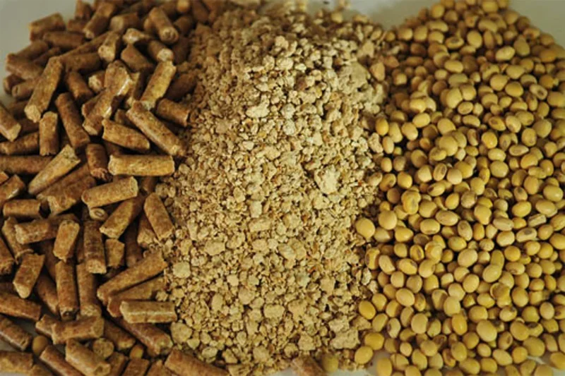 On Sales 46% Protein Soybean Meal - Soya bean meal for animal feed