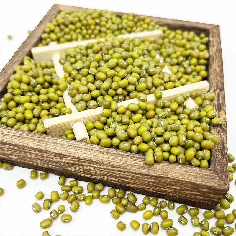 Mung Bean Fiber для продажи