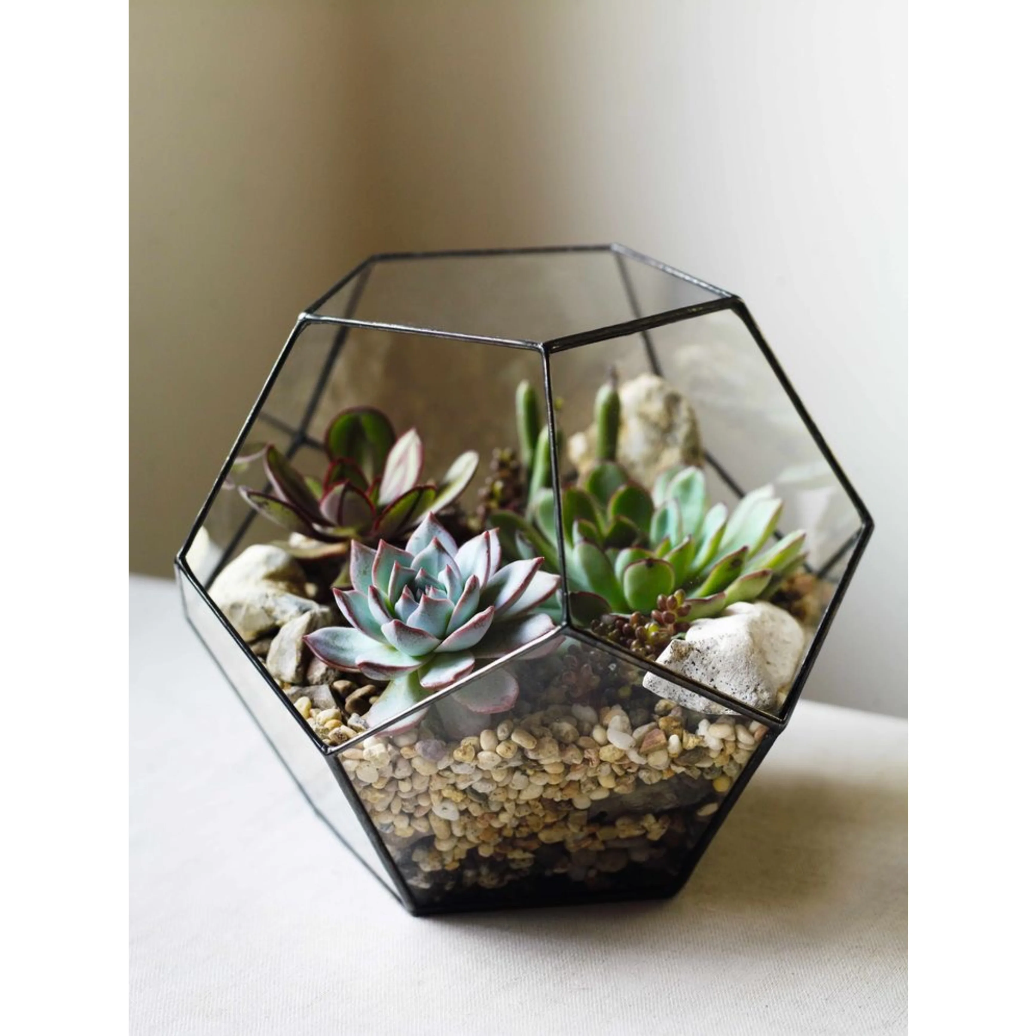 Wholesale Decorative Glass Metal Framed Plant Terrariums in Different Customized Shapes, Sizes for Home and Garden Decoration