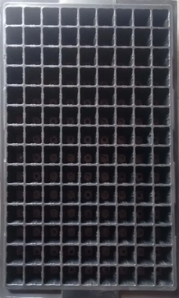 Wholesale Supply Customized Holes Seedling Tray for Field Planting Without Disturbing 	Seedling Tray