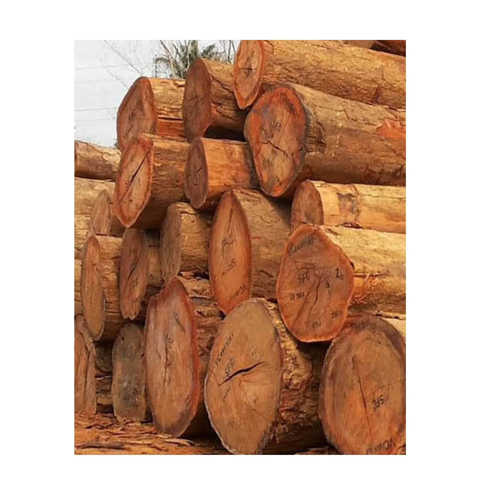 Древесина Меранти для продажи по лучшей цене онлайн